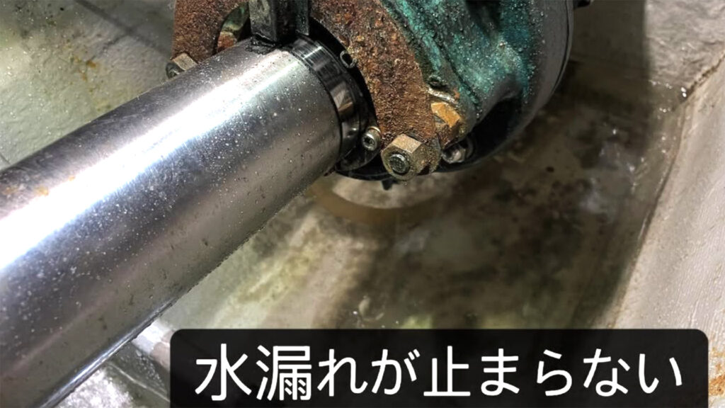 FV-maintenance-of-seal-stun