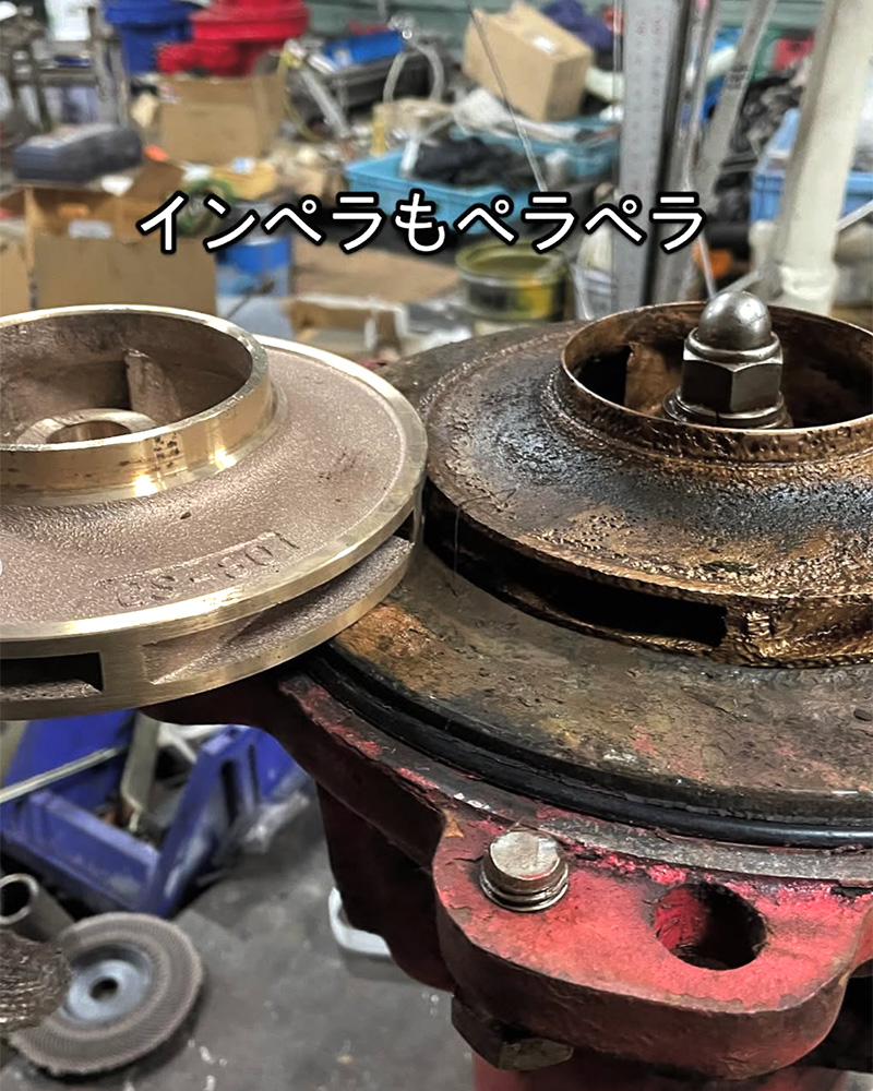 case02