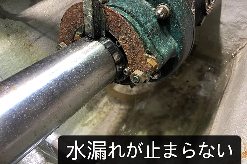 maintenance-of-seal-stun01