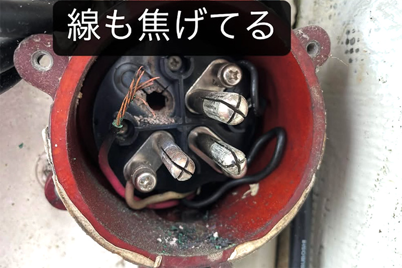 05switch-of-scallops-mixer