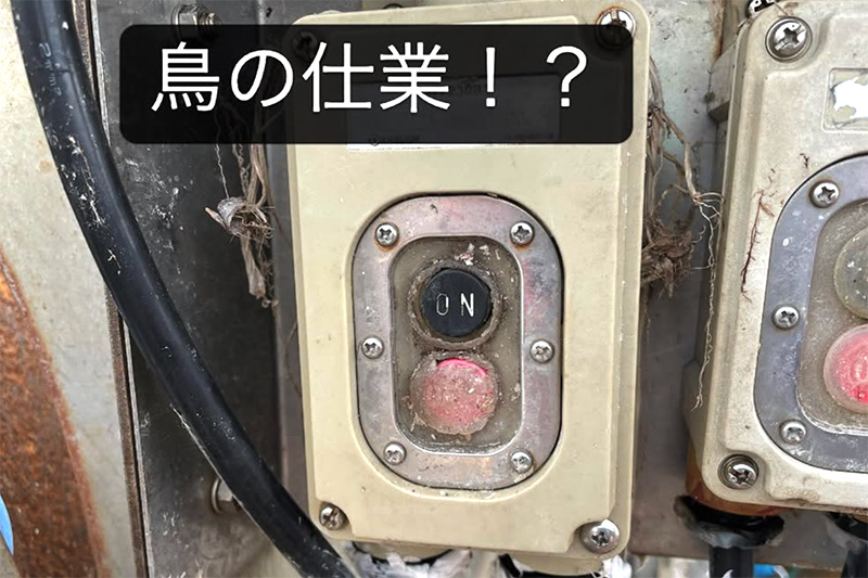 10switch-of-scallops-mixer